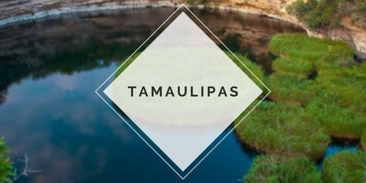 Tamaulipas
