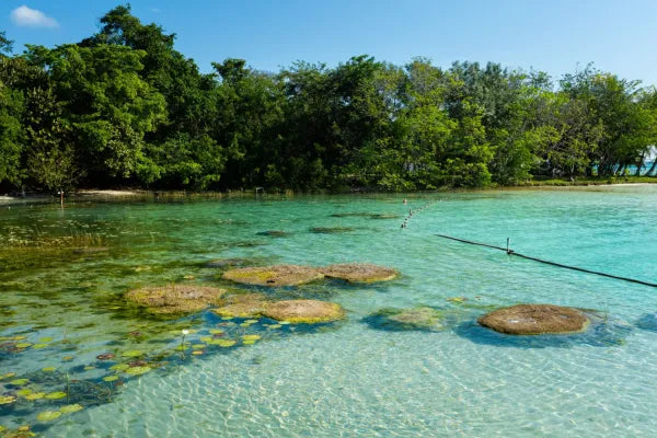 Bacalar - desde GDL