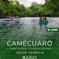 Camécuaro