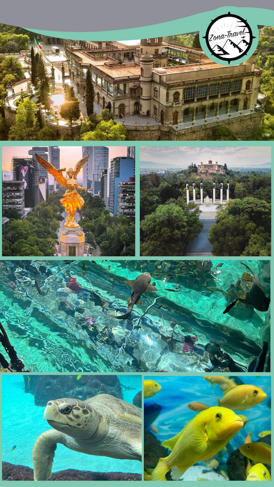 CHAPULTEPEC Y ACUARIO MICHIN