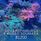 ACUARIO INBURSA Y MUSEO SOUMAYA