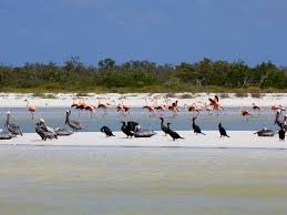 Bacalar